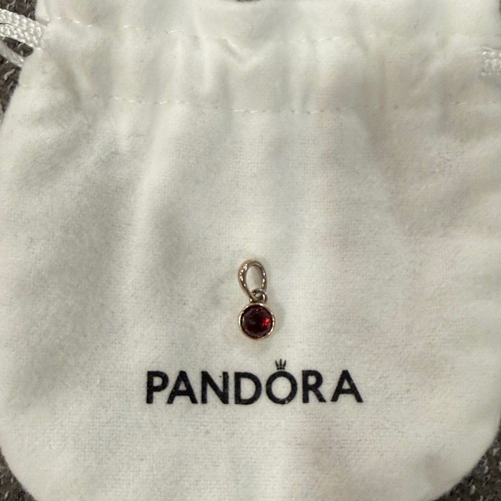 Pandora Silver Charm with January Birthstone